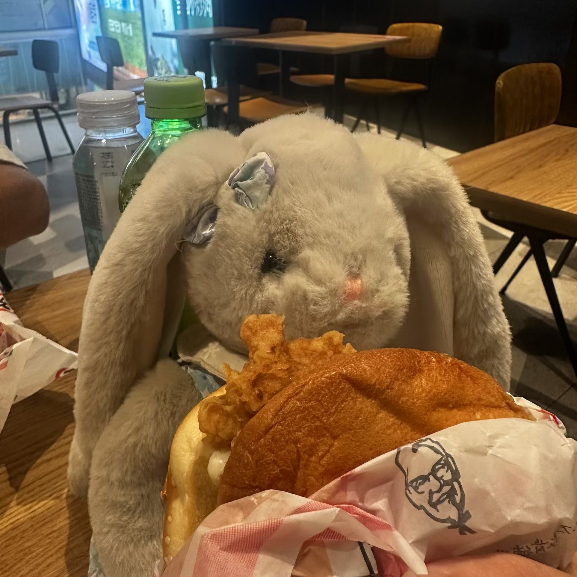 乐乐的头像-Zerogod论坛分中心